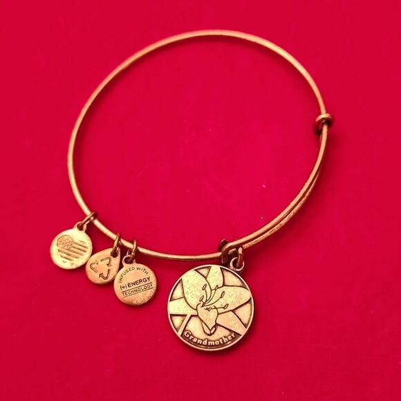 Alex and Ani Silver Bangle Bracelet with Grandmother Flower Floral Charm - Picture 1 of 1